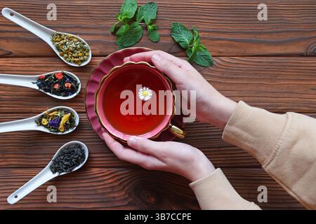 Hände halten eine Tasse Kräutertee mit verschiedenen losen Teemischungen. Eine warme Tasse Kräutertee in zwei Händen gehalten, mit einer Gänseblümchenblume im Stockfoto