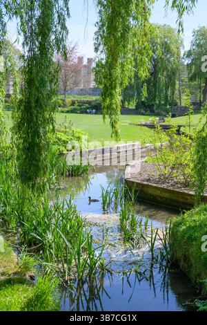 Leeds Castle, in der Nähe von Maidstone, Kent, Großbritannien. Gärten entlang des Woodland Walk zwischen dem Eingang und der Burg Stockfoto