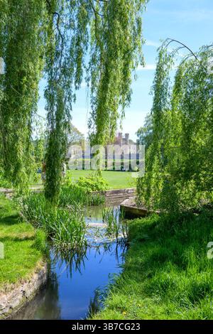 Leeds Castle, in der Nähe von Maidstone, Kent, Großbritannien. Gärten entlang des Woodland Walk zwischen dem Eingang und der Burg Stockfoto