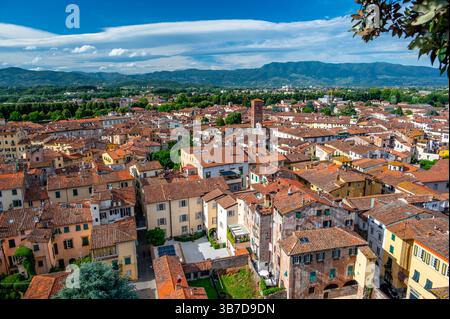 Panoramablick auf Lucca, Italien, mit roten Ziegeldächern und historischen Kirchen von oben. Toskanische Hügel und Berge bilden einen atemberaubenden Sommerrückzug Stockfoto