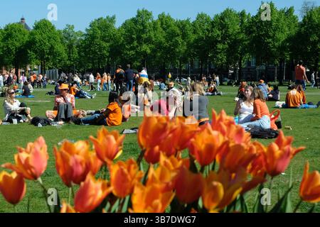 Während des Königstags am 26. April 2025 in Amsterdam, Niederlande, werden Leute beim Picknicken an orangefarbenen Tulpen auf dem Museumplein beobachtet. Der Königstag (Koningsdag) ist ein jährlicher Nationalfeiertag zu Ehren des Geburtstages des niederländischen Königs Willem-Alexander. (Foto: Yuriko Nakao/AFLO) Stockfoto