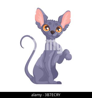 Niedliche Zeichentrickillustration einer grauen, haarlosen Sphynx-Katze, die mit einer erhobenen Pfote sitzt, mit orangefarbenen Augen und großen rosa Ohren. Cartoon Sphynx Cat Wit Stock Vektor