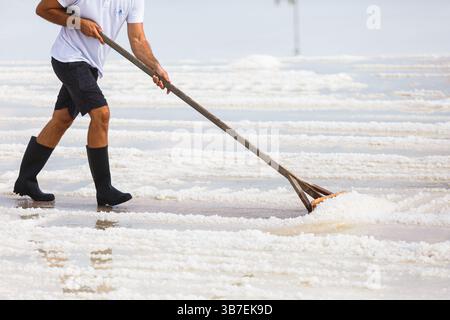 Traditionelle Salzernte in Küstensalzpfannen. Die Arbeiter sammeln von Hand Meersalz, das durch Sonnenverdunstung gebildet wird, und erzeugen dabei markantes weißes Salz. Stockfoto