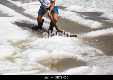 Traditionelle Salzernte in Küstensalzpfannen. Die Arbeiter sammeln von Hand Meersalz, das durch Sonnenverdunstung gebildet wird, und erzeugen dabei markantes weißes Salz. Stockfoto