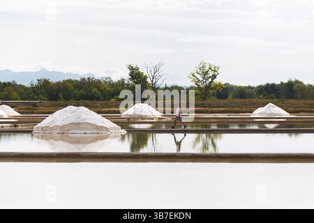 Traditionelle Salzernte in Küstensalzpfannen. Die Arbeiter sammeln von Hand Meersalz, das durch Sonnenverdunstung gebildet wird, und erzeugen dabei markantes weißes Salz. Stockfoto