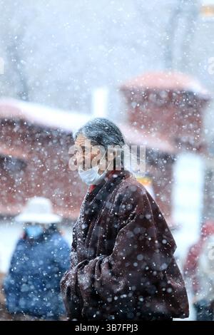 (250506) -- LHASA, 6. Mai 2025 (Xinhua) -- dieses undatierte Foto von Lhapa Dondrup zeigt eine Frau, die in der Barkhor Street in Lhasa, der Autonomen Region Xizang im Südwesten Chinas, spaziert. Lhapa Dondrup, ein 24-jähriger Mann, der in Lhasa geboren wurde, leidet seit seiner Kindheit an Osteogenesis imperfecta (OI), allgemein bekannt als brüchige Knochenerkrankung. Als Erwachsener steht er unter einem Meter groß und verlässt sich auf Krücken und elektrischen Rollstuhl für Mobilität. Trotz dieser Herausforderungen träumt Lhapa davon, Fotograf zu werden. 2021 trat er einem von indivi gegründeten Kulturmedienunternehmen bei Stockfoto