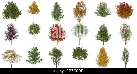 Realistische Darstellung verschiedener Laubbäume isoliert 3D Stockfoto