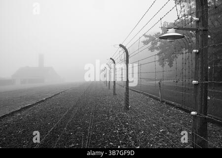 Rekonstruierter Lagerzaun mit Krematorium im Nebel des Buchenwald-Konzentrationslagers, jetzt KZ-Gedenkstätte, Weimar, Thüringen, Deutschland Stockfoto