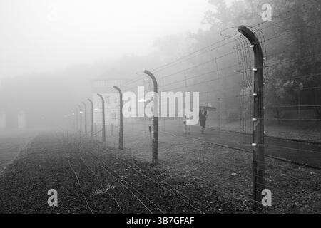 Umgebauter Zaun mit Menschen im Nebel im Konzentrationslager Buchenwald, heute Konzentrationslager, Weimar, Thüringen, Deutschland, EUR Stockfoto