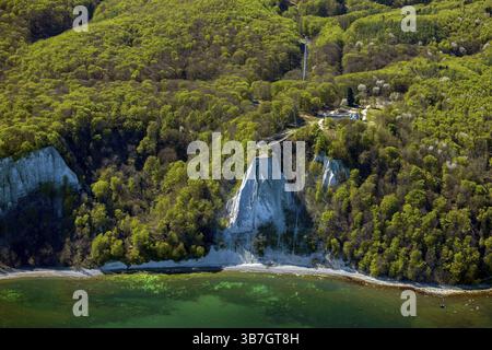 Kreideküste bei Sassnitz, Insel Rügen, Königsstuhl und Victoria View, Skywalk, Jasmund Nationalpark, Mecklenburg-Vorpommern, Deutschland, A Stockfoto