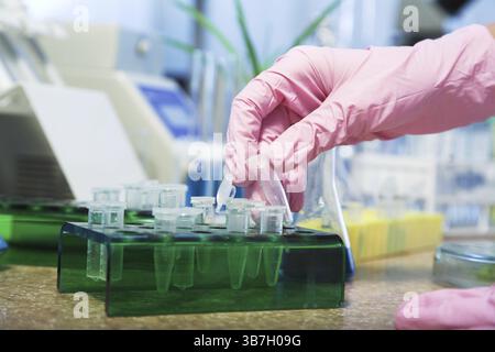 Arbeitsplatz modernes Labor für molekularbiologische Tests Stockfoto