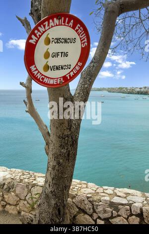Warnschild Warnung vor dem Verzehr tödlicher giftiger Früchte Strandapfel von Manchinelbaum (Hippomane mancinella) Manzanilla de la muerte Stockfoto