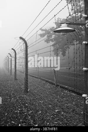 Rekonstruierter Lagerzaun im Nebel des Konzentrationslagers Buchenwald, heute KZ-Gedenkstätte, Weimar, Thüringen, Deutschland, Europa Stockfoto