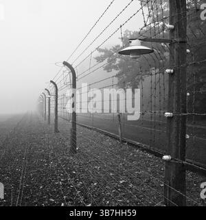 Rekonstruierter Lagerzaun im Nebel des Konzentrationslagers Buchenwald, heute KZ-Gedenkstätte, Weimar, Thüringen, Deutschland, Europa Stockfoto