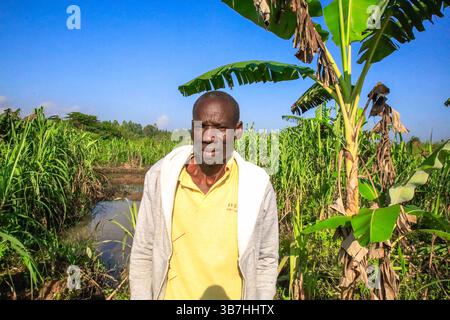 17. Februar 2024, Siaya, KENIA: George Airo posiert auf seiner Dorffarm in North Gem im Siaya County in Kenia. GEM ist ein Wahlkreis in Kenia. Es ist einer von sechs Wahlkreisen im Siaya County. Der Wahlkreis wurde für die Wahlen 1963 eingerichtet. Sie hat 179.792 Einwohner, basierend auf dem Volkszählungsbericht von 2019, und ihr derzeitiges Mitglied der Nationalversammlung ist Hon. Elisha Ochieng' Odhiambo von der Orange Democratic Movement (ODM) Partei. (Bild: © Donwilson Odhiambo/ZUMA Press Wire) Stockfoto