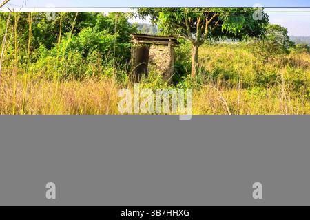 17. Februar 2024, Siaya, KENIA: Eine verlassene Latrine auf einer Dorffarm in North Gem im Siaya County in Kenia. GEM ist ein Wahlkreis in Kenia. Es ist einer von sechs Wahlkreisen im Siaya County. Der Wahlkreis wurde für die Wahlen 1963 eingerichtet. Sie hat 179.792 Einwohner, basierend auf dem Volkszählungsbericht von 2019, und ihr derzeitiges Mitglied der Nationalversammlung ist Hon. Elisha Ochieng' Odhiambo von der Orange Democratic Movement (ODM) Partei. (Bild: © Donwilson Odhiambo/ZUMA Press Wire) Stockfoto