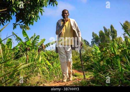 17. Februar 2024, Siaya, KENIA: George Airo spaziert durch seine Dorffarm in North Gem im Siaya County in Kenia. GEM ist ein Wahlkreis in Kenia. Es ist einer von sechs Wahlkreisen im Siaya County. Der Wahlkreis wurde für die Wahlen 1963 eingerichtet. Sie hat 179.792 Einwohner, basierend auf dem Volkszählungsbericht von 2019, und ihr derzeitiges Mitglied der Nationalversammlung ist Hon. Elisha Ochieng' Odhiambo von der Orange Democratic Movement (ODM) Partei. (Bild: © Donwilson Odhiambo/ZUMA Press Wire) Stockfoto