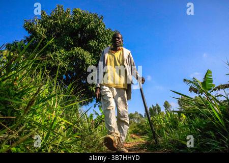 17. Februar 2024, Siaya, KENIA: George Airo spaziert durch seine Dorffarm in North Gem im Siaya County in Kenia. GEM ist ein Wahlkreis in Kenia. Es ist einer von sechs Wahlkreisen im Siaya County. Der Wahlkreis wurde für die Wahlen 1963 eingerichtet. Sie hat 179.792 Einwohner, basierend auf dem Volkszählungsbericht von 2019, und ihr derzeitiges Mitglied der Nationalversammlung ist Hon. Elisha Ochieng' Odhiambo von der Orange Democratic Movement (ODM) Partei. (Bild: © Donwilson Odhiambo/ZUMA Press Wire) Stockfoto