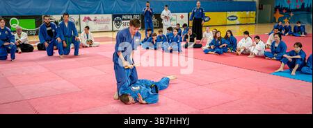 Zrenjanin, Vojvodina, Serbien - 27. April 2025: Seminar des echten Aikido im Kampfsportverein 'Real Aikido Zrenjanin 1995', Studenten werden demonstriert l Stockfoto