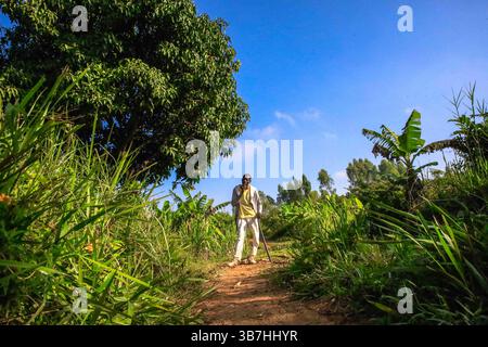 17. Februar 2024, Siaya, KENIA: George Airo posiert auf seiner Dorffarm in North Gem im Siaya County in Kenia. GEM ist ein Wahlkreis in Kenia. Es ist einer von sechs Wahlkreisen im Siaya County. Der Wahlkreis wurde für die Wahlen 1963 eingerichtet. Sie hat 179.792 Einwohner, basierend auf dem Volkszählungsbericht von 2019, und ihr derzeitiges Mitglied der Nationalversammlung ist Hon. Elisha Ochieng' Odhiambo von der Orange Democratic Movement (ODM) Partei. (Bild: © Donwilson Odhiambo/ZUMA Press Wire) Stockfoto