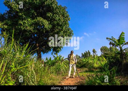 17. Februar 2024, Siaya, KENIA: George Airo posiert auf seiner Dorffarm in North Gem im Siaya County in Kenia. GEM ist ein Wahlkreis in Kenia. Es ist einer von sechs Wahlkreisen im Siaya County. Der Wahlkreis wurde für die Wahlen 1963 eingerichtet. Sie hat 179.792 Einwohner, basierend auf dem Volkszählungsbericht von 2019, und ihr derzeitiges Mitglied der Nationalversammlung ist Hon. Elisha Ochieng' Odhiambo von der Orange Democratic Movement (ODM) Partei. (Bild: © Donwilson Odhiambo/ZUMA Press Wire) Stockfoto