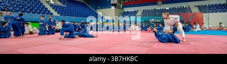 Zrenjanin, Vojvodina, Serbien - 27. April 2025: Seminar des echten Aikido im Kampfsportverein 'Real Aikido Zrenjanin 1995', Studenten werden demonstriert l Stockfoto