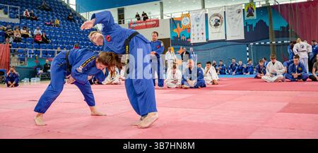Zrenjanin, Vojvodina, Serbien - 27. April 2025: Seminar des echten Aikido im Kampfsportverein 'Real Aikido Zrenjanin 1995', Studenten werden demonstriert l Stockfoto