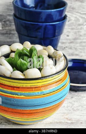 Saftig im Blumentopf auf hellem Hintergrund Stockfoto