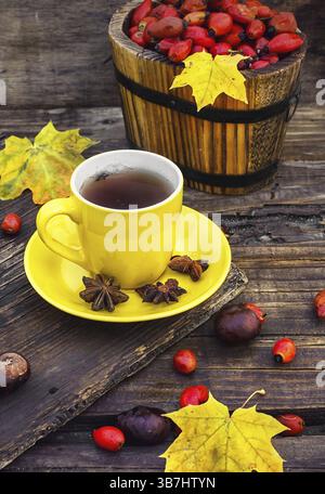 Gelbe Tasse mit Tee, gebrüht im Tee mit Früchten von Hundelrose auf Hintergrund von Blättern und Kastanien Stockfoto