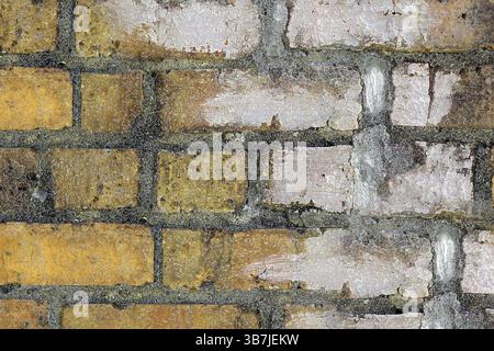 Nahaufnahme einer alten Ziegelmauer mit Moos und verwitterter Textur. Weißrussland Stockfoto