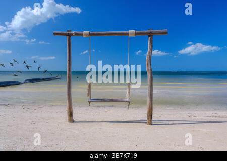 Eine einfache Holzschaukel hängt noch am weißen Sand, mit Pelikanen, die tief über das türkisfarbene Wasser im Hintergrund fliegen. Stockfoto