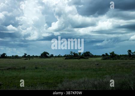 Dunkle Sturmwolken sammeln sich über der bewaldeten Savanne der mosambikanischen Küstenebene. Stockfoto