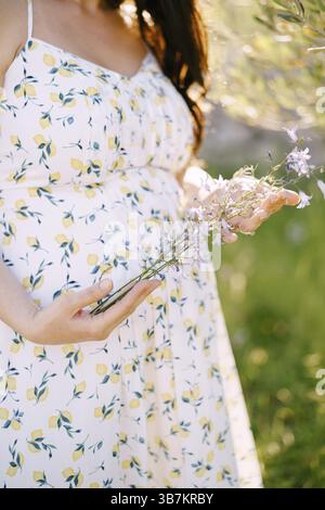 Schwangere Frau hält Wildblumen in den Händen. Nahaufnahme. Stockfoto