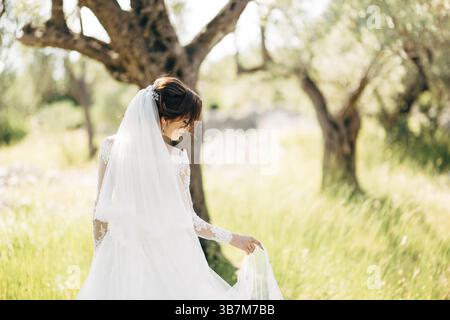 Schöne Braut in zartem Hochzeitskleid mit langem Brautschleier im Olivenhain. Stockfoto