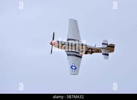 Klassisches nordamerikanisches P-51 Mustang Kampfflugzeug im Flug Stockfoto