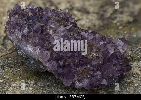 Lebendige Amethyst-Drusse mit zahlreichen gut geformten violetten Kristallen auf einer rohen Matrix, wunderschön auf einem strukturierten Steinhintergrund unter Natur erfasst Stockfoto
