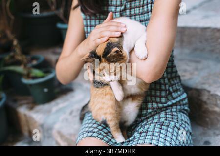 Katze in den Händen von Frauen. Perast, Montenegro, Europa Stockfoto