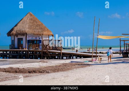 Holbox, Mexiko - 9. Februar 2025: Eine Frau geht mit ihrem Hund entlang der ruhigen Morgenküste von Holbox Island in der Nähe einer strohgedeckten Strandhütte. Stockfoto