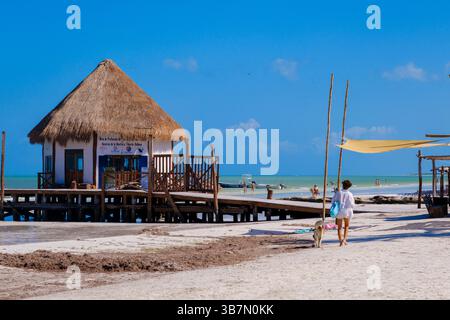 Holbox, Mexiko - 9. Februar 2025: Eine Frau geht mit ihrem Hund entlang der ruhigen Morgenküste von Holbox Island in der Nähe einer strohgedeckten Strandhütte. Stockfoto