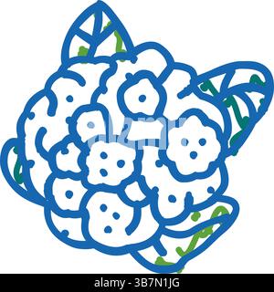 Blumenkohl-Symbol-Kritzelillustration Stock Vektor