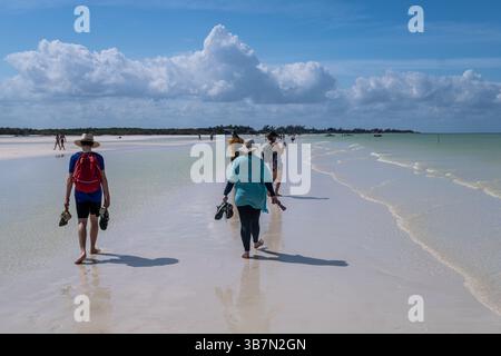 Holbox, Mexiko - 10. Februar 2025: Touristen spazieren über die berühmte Sandbank der Isla Holbox, ein einzigartiger Naturpfad, der sich durch das flache Turqu erstreckt Stockfoto