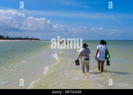 Holbox, Mexiko – 10. Februar 2025: Gruppen von Touristen und ein Hund machen einen Spaziergang durch das flache Wasser der berühmten Sandbank in der Nähe von Punta Mosquito On Stockfoto
