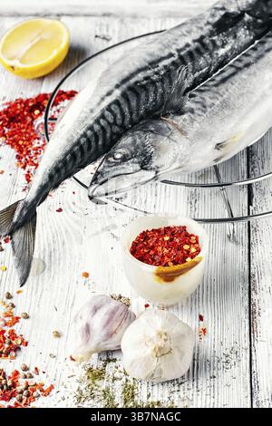 Frischer Fisch Makrele mit Gewürzen und Marinade aufgetaut. High-Key zu fotografieren Stockfoto