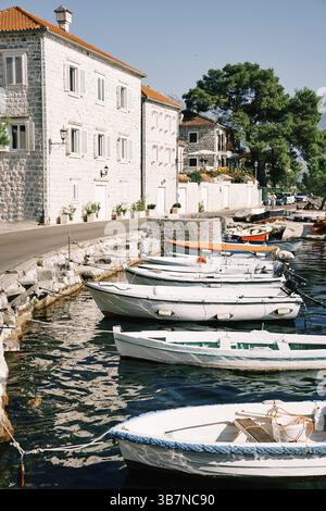 Fischerboote liegen in einer Reihe entlang der Küste von Perast, die von alten Steinhäusern gesäumt ist. Montenegro. Stockfoto