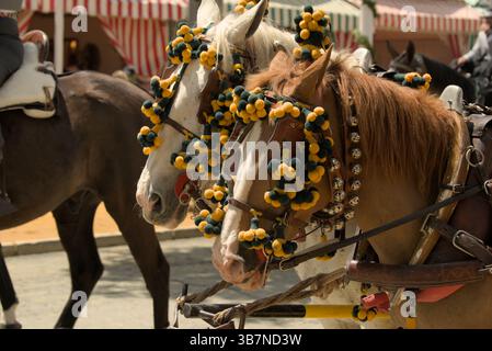 Dekorierte andalusische Pferde in La Feria de Sevilla 2025 mit bunten Pompons und Glocken während der traditionellen Frühlingsparade. Feria de Sevilla Stockfoto
