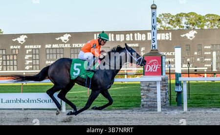 10. Februar 2024, Tampa, FL, USA: No More Time (5) Ridden by Paco Lopez gewinnt am 10. Februar 2024 die Sam F. Davis Stakes (Klasse 3) in Tampa Bay Downs in Tampa Bay, Florida. Gonzalo Anteliz Jr./Eclipse Sportswire/CSM (Bild: © Gonzalo Anteliz, Jr/CSM via ZUMA Press Wire) Stockfoto