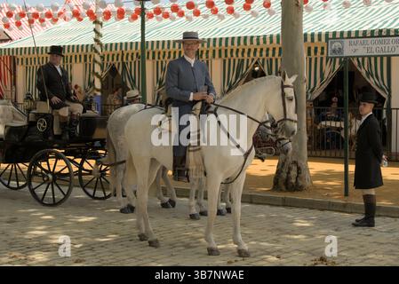 Andalusischer Reiter auf weißem Pferd während der Feria de Sevilla 2025, vor gestreiften Kasetten und Laternen. Feria de Sevilla, Spanien Stockfoto