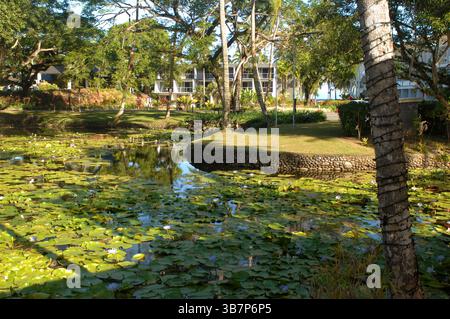 Das Pearl Resort & Spa Fiji, Pacific Harbour, Central District und Serua Province, Viti Levu, Fidschi. Stockfoto
