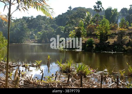 Pacific Harbour, Central District und Serua Province, Viti Levu, Fidschi. Stockfoto