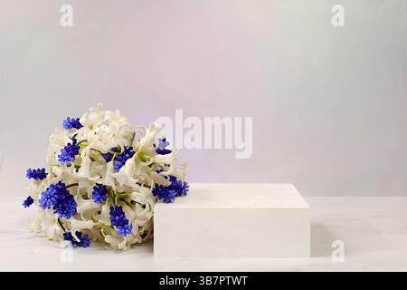 Abstraktes wunderschönes Blumenarrangement mit weißen Hyazinthen und Muscari, Banner. Leeres Produktpodium und frische, lebende Frühlingsblumen. Geschäftsszene Stockfoto